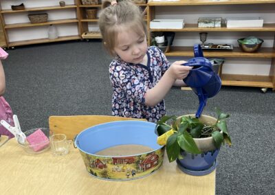 Watering a potted plant with a blue watering can at Montessori daycare in Mount Clemens, MI, promoting early childhood gardening and nature appreciation.