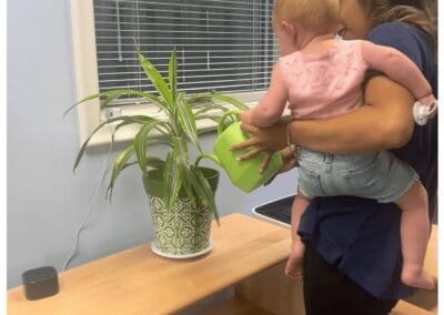 Plants in a Montessori classroom at Mount Clemens MI daycare and preschool.