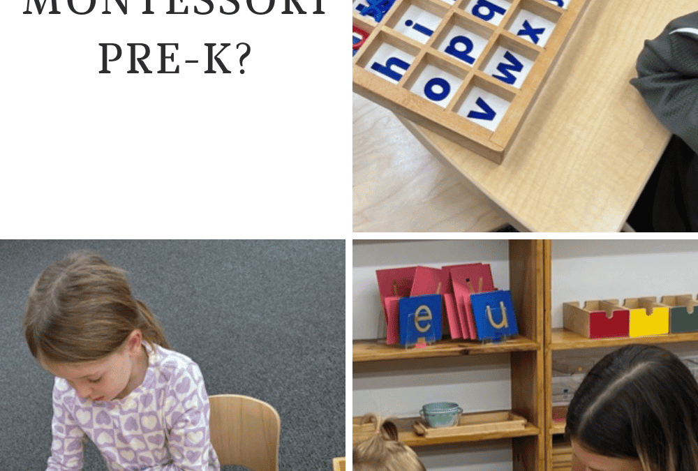 Why Montessori Pre-Kindergarten Matters: Building a Strong Foundation Through Hands-On Learning