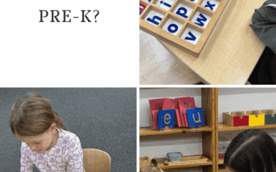 Why Montessori Pre-Kindergarten Matters: Building a Strong Foundation Through Hands-On Learning