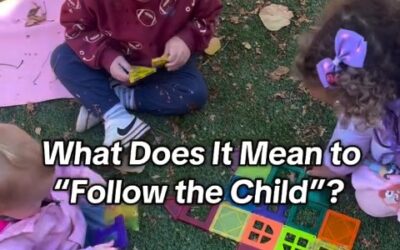 What Does it Mean to “Follow the Child?”