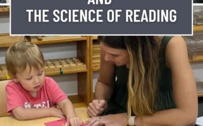 The Surprising Way Montessori Builds Confident Readers