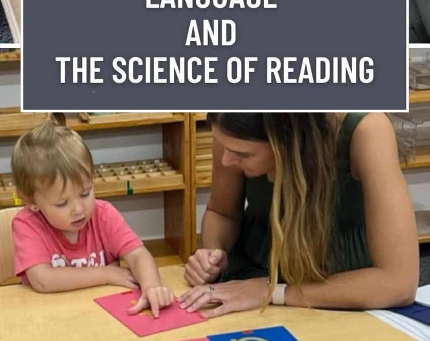 The Surprising Way Montessori Builds Confident Readers