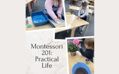 Montessori Practical Life: Building a Confident, Independent Child