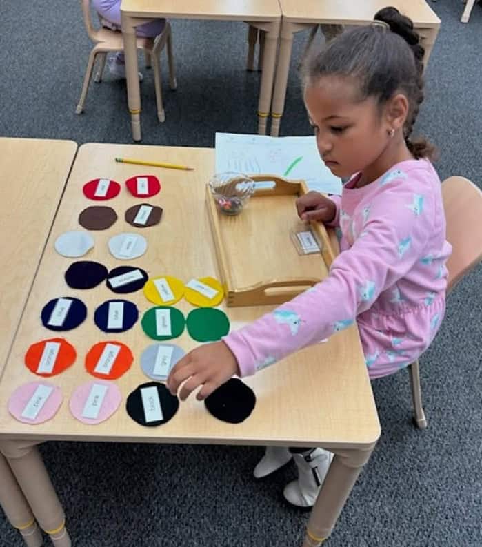 Red, yellow, green, black, white, pink, and brown felt circles with color labels for Montessori early learning activities.