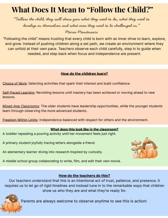 Montessori-stepping-stones-mount-clemens-mi.jpg.