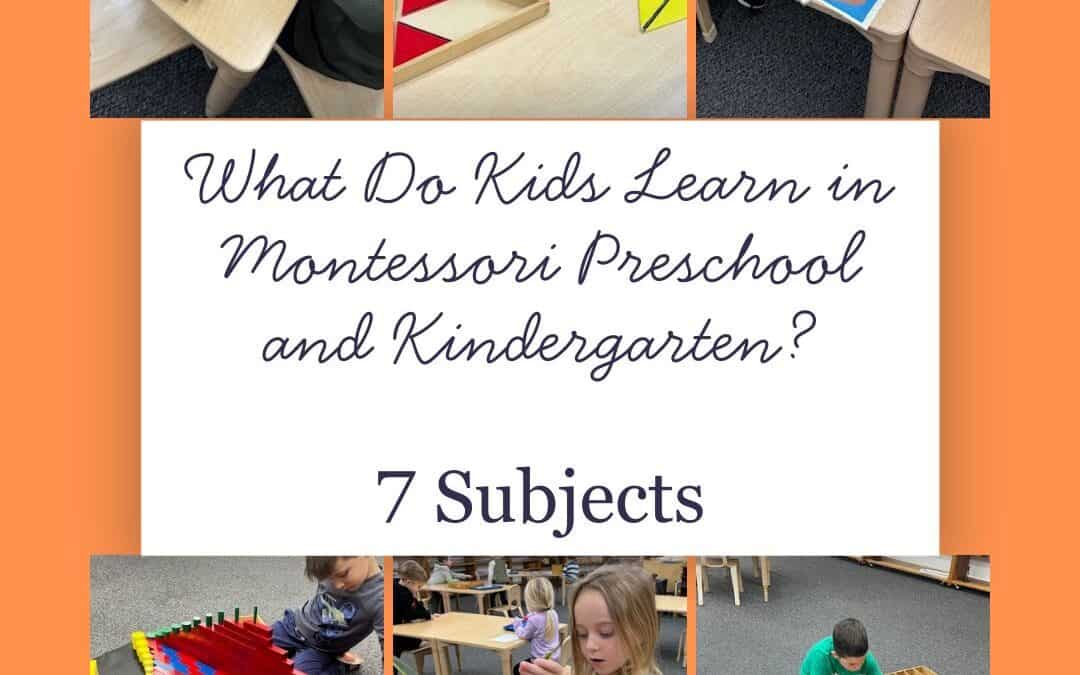 What Are The 7 Subjects in a Montessori Primary Classroom?
