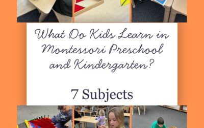 What Are The 7 Subjects in a Montessori Primary Classroom?