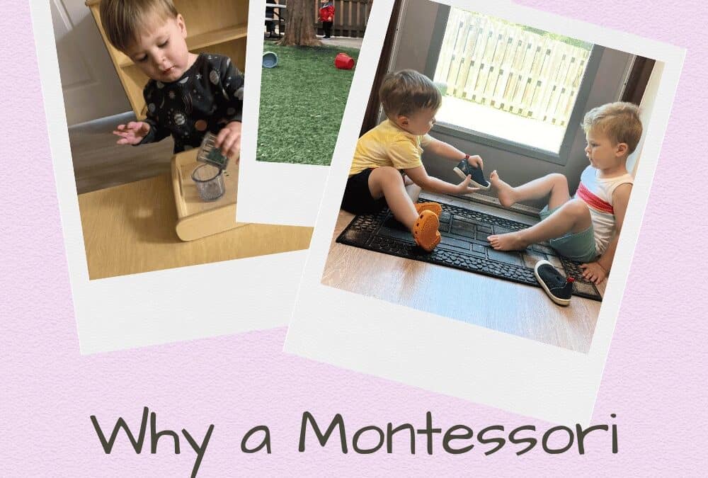 Toddler Classes Near Me: Why Our Half Day Montessori Program Is the Perfect Fit