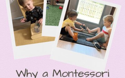 Toddler Classes Near Me: Why Our Half Day Montessori Program Is the Perfect Fit