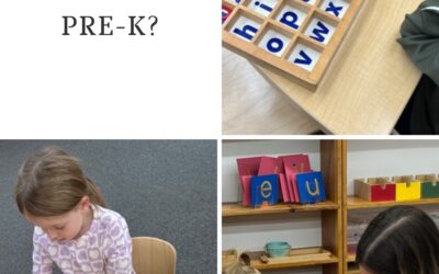 Why Montessori Pre-Kindergarten Matters: Building a Strong Foundation Through Hands-On Learning