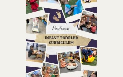 The Montessori Infant-Toddler Curriculum: Building the Foundation for Life