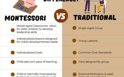 What are the Differences Between Montessori and Traditional Education?