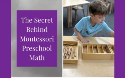 How Do Montessori Math Materials Work?