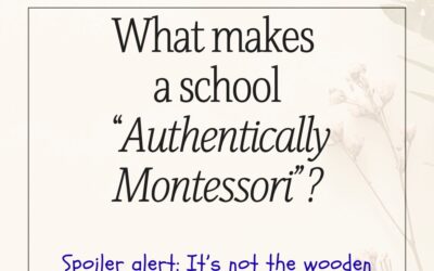 Beyond the Wooden Shelves: What Makes a School Authentically Montessori?