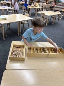 A Montessori elementary student in a blue shirt carefully sorts wooden spindles into numbered compartments of a spindle box, demonstrating a hands-on approach to understanding quantity and place value in Mount Clemens Montessori classroom.