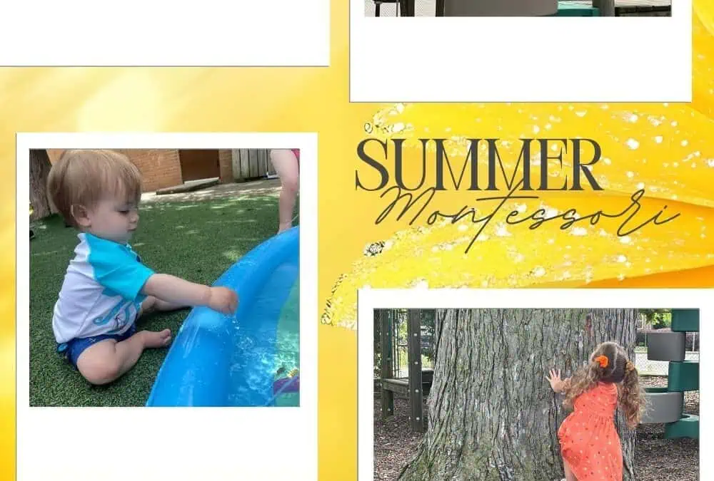 Montessori Summer Program: A Summer That Feels Like Childhood