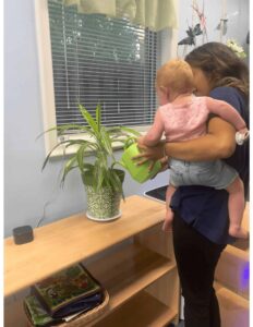 A young toddler being held by a teacher while using a green watering can to care for a potted plant, demonstrating a Montessori Practical Life activity that builds responsibility and fine motor skills.