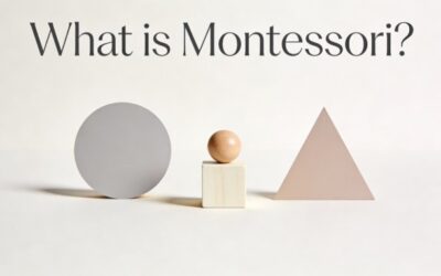 What is Montessori Education? | Macomb County Parent’s Guide (2026)