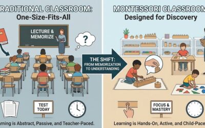 Beyond the Desk: What Traditional Schools Get Wrong (and Montessori Gets Right)