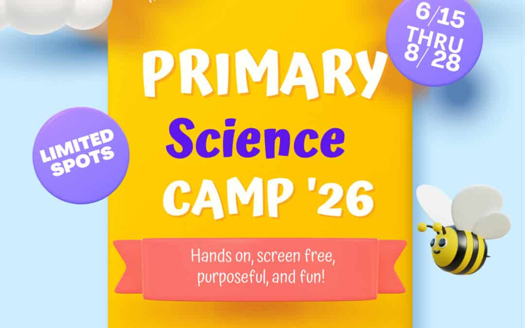 Montessori Preschool Summer Program in Mount Clemens: Science & Nature Exploration