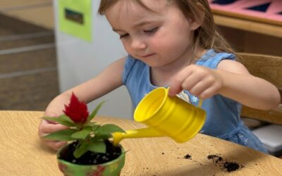What is Montessori Education? | Macomb County Parent’s Guide