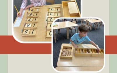 What Is My Child Doing All Day in a Montessori Classroom?